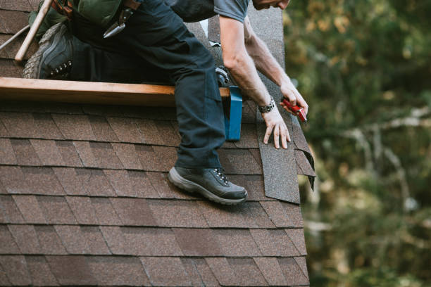 Best Roof Repair Services  in Rochester, WA